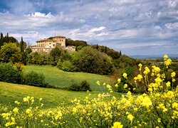 Włochy, Toskania, Prowincja Siena, Toskania, Villa Montesoli, Łąka, Kwiaty, Drzewa, Wzgórza