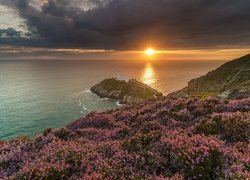 Latarnia morska South Stack, Zachód słońca, Ciemne chmury, Wrzosowisko, Morze, Anglesey, Walia