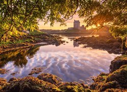 Irlandia, Hrabstwo Galway, Kinvara, Zamek, Dunguaire Castle, Drzewa, Promienie słońca, Zatoka Galway