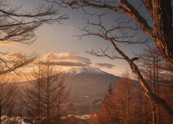 Drzewa, Góra, Stratowulkan, Fudżi, Chmury, Wyspa Honsiu, Japonia