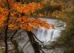 Wodospad, Cumberland Falls, Drzewa, Jesień, Kentucky, Stany Zjednoczone