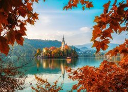 Słowenia, Wyspa Blejski Otok, Jezioro Bled, Kościół, Góry, Drzewa, Gałęzie, Jesień