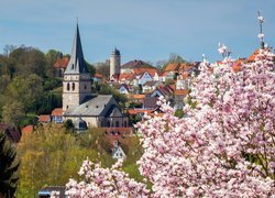 Widok zza kwitnącej magnolii na kościół i domy w Warburgu