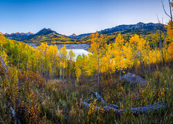 Stany Zjednoczone, Kolorado, Silver Jack Reservoir, Owl Creek Pass, Góry, Las, Drzewo, Jesień