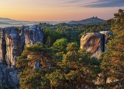 Widok zza sosen na formacje skalne Hruboskalsko w Czechach