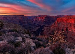 Park Narodowy Wielkiego Kanionu, Góry, Rośliny, Wielki Kanion Kolorado, Grand Canyon, Zachód słońca, Arizona, Stany Zjednoczone
