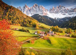 Włochy, Dolomity, Dolina Val di Funes, Wieś Santa Maddalena, Jesień, Góry, Masyw Odle, Lasy, Drzewa, Domy, Kościół