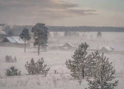 Zima, Śnieg, Domy, Drzewa, Wieś