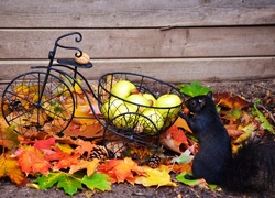Wiewiórka przy dekoracyjnym rowerku z jabłkami