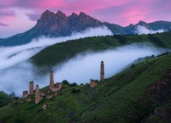Góry, Kaukaz, Mgła, Ruiny, Wieże obronne, Drzewa, Erzi, Republika Inguszetii, Rosja