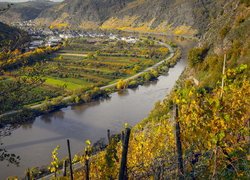 Winnice na wzgórzach nad rzeką Mozela w Niemczech