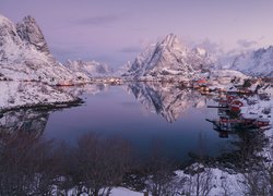 Norwegia, Lofoty, Wyspa Moskenesoya, Wieś Reine, Morze Norweskie, Góry, Zima, Domy, Drzewa