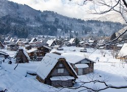 Zima, Drewniane, Domy, Śnieg, Drzewa, Góry, Wieś Shirakawa, Prefektura Gifu, Japonia