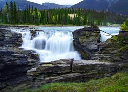 Park Narodowy Jasper, Wodospad Athabasca, Rzeka Athabasca, Skały, Drzewa, Prowincja Alberta, Kanada