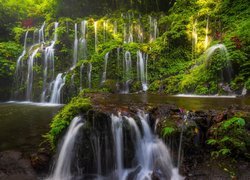 Indonezja, Bali, Okręg Buleleng, Las tropikalny, Wodospad, Banyu Wana Amertha Falls, Roślinność, Skały