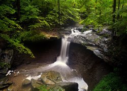 Wodospad, Blue Hen Falls, Rzeka, Skała, Las, Drzewa, Kamienie, Park Narodowy Cuyahoga Valley, Stan Ohio, Stany Zjednoczone