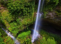 Wodospad Cave Garden Waterfall w Mount Gambier