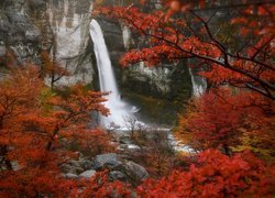 Wodospad, Chorillo Del Salto, Patagonia, Jesień, Roślinność, Skały, Argentyna
