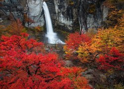 Wodospad, Chorrillo del Salto, Jesień, Kolorowe, Drzewa, Skały, Prowincja Santa Cruz, Argentyna
