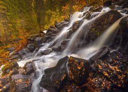 Finlandia, Sawonia Północna, Wodospad Korkeakoski, Kamienie, Drzewa, Jesień