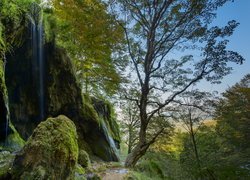 Wodospad na omszałych skałach na skraju lasu