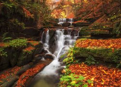 Wodospad na skałach w jesiennym lesie