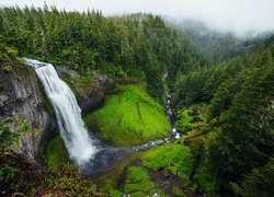 Wodospad, Salt Creek Falls, Skały, Lasy, Rzeka, Willamette River, Oregon, Stany Zjednoczone