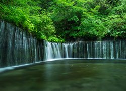 Japonia, Wodospad Shiraito Falls, Park Narodowy Fudżi Hakone Izu, Skały, Drzewa