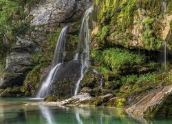 Skała, Wodospad, Slap Virje, Rośliny, Pluźna, Słowenia