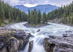 Wodospad Sunwapta Falls, Rzeka Sunwapta, Park Narodowy Jasper, Góry, Drzewa, Prowincja Alberta, Kanada
