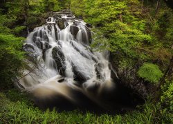 Wodospad Swallow Falls, Las, Drzewa, Skały, Park Narodowy Snowdonia, Walia, Wielka Brytania