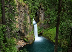 Las, Wodospad Toketee, Park Narodowy Jeziora Kraterowego, Oregon  Stany Zjednoczone