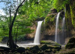 Wodospad Haew Suwat, Park Narodowy Khau Yai, Omszałe, Kamienie, Drzewa, Tajlandia