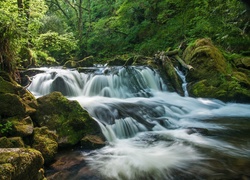 Wodospad wśród omszalych kamieni i drzew w Anglii