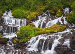 Wodospad, Hraunfossar, Rośliny, Zieleń, Islandia