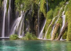 Chorwacja, Wodospady, Roślinność, Park Narodowy Jezior Plitwickich