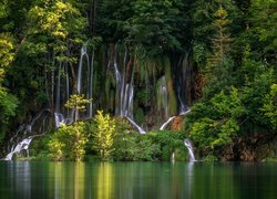 Chorwacja, Plitvice, Park Narodowy Jezior Plitwickich, Wodospady, Drzewa