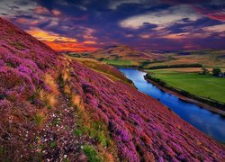 Wrzosowisko, Zachód Słońca, Wzgórza, Pentland Hills, Zbiornik, Jezioro Threipmuir, Edynburg, Szkocja