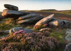 Formacja skalna, Owler Tor, Kamienie, Skały, Wrzosy, Wrzosowisko, Hope Valley, Anglia