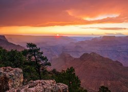 Grand Canyon, Wielki Kanion Kolorado, Paark Narodowy Wielkiego Kanionu, Drzewa, Sosny, Wschód słońca, Arizona, Stany Zjednoczone