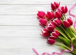 Wstążka na bukiecie tulipanów