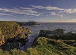 Morze, Skały, Klif, Trawa, Wybrzeże, Aberdeenshire, Szkocja