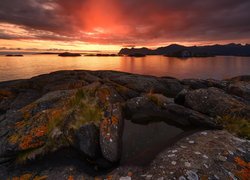 Zachód słońca, Morze, Skały, Rośliny, Wyspa Senja, Norwegia