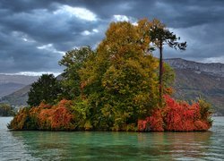 Wyspa z jesiennymi drzewami na jeziorze