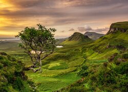 Wzgórze Quiraing na wyspie Skye