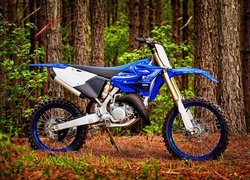 Motocykl, Terenowy, Yamaha YZ125X, 2020, Drzewa, Las