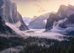 Góry, Las, Opadająca, Mgła, Yosemite Valley, Park Narodowy Yosemite, 
Kalifornia, Stany Zjednoczone