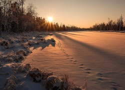 Zachód słońca nad lasem i zaśnieżonym polem