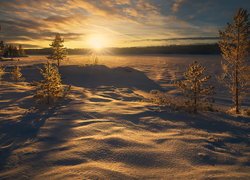 Zachód słońca, Zima, Drzewa, Zaśnieżone, Jezioro, Ringerike, Norwegia