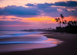 Sri Lanka, Plaża, Ocean, Zachód Słońca, Palmy